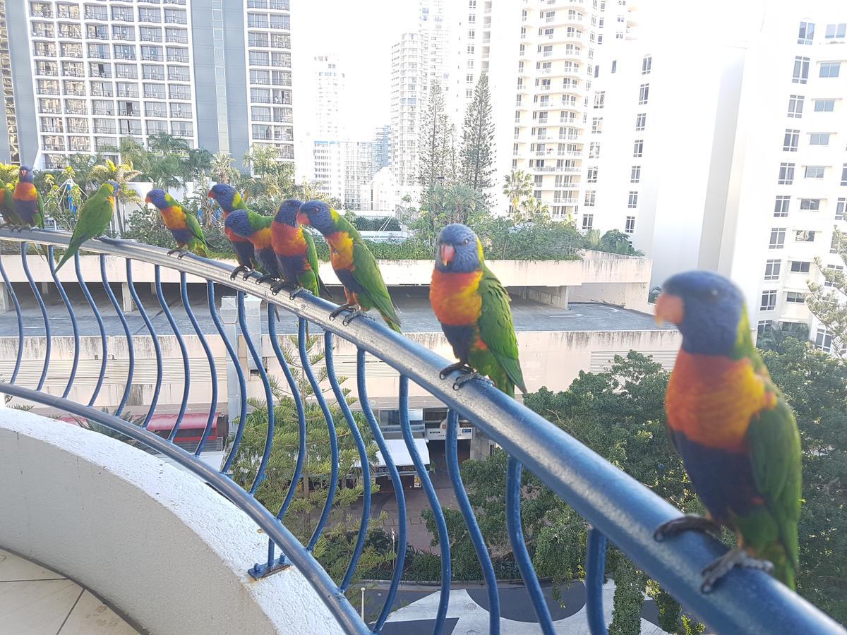 Monte Carlo Apartment Surfers Paradise Luaran gambar